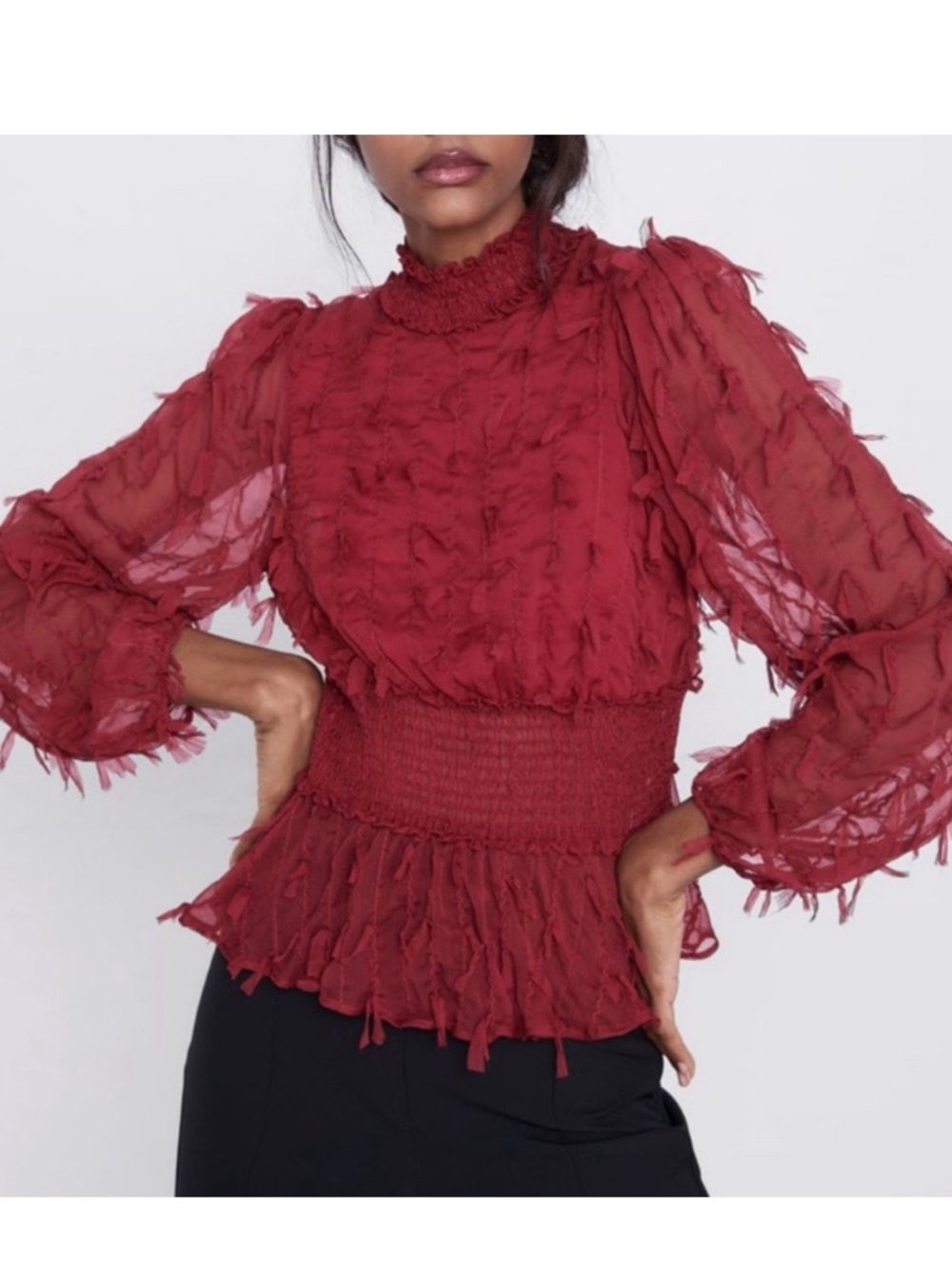Zara Sheer Ruffle-Trim Blouse